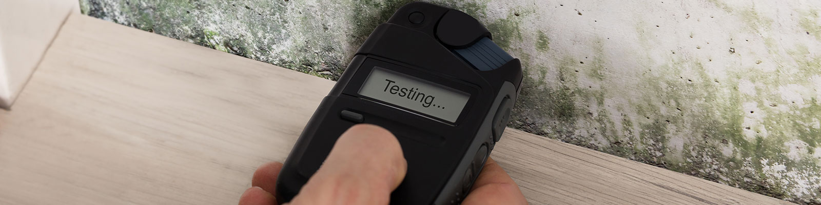 Mold certification online for mold inspectors