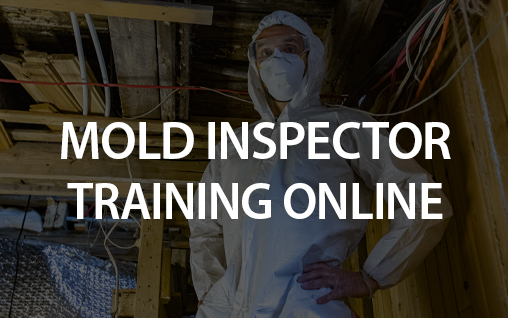 mold-inspector-feature