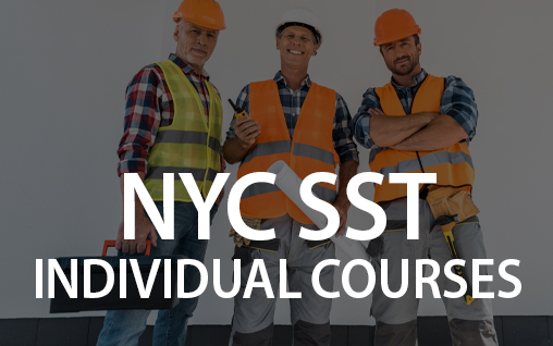 nyc-sst-individual-course-course-feature-b